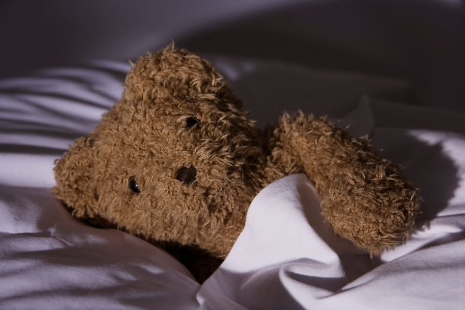 肠道微生物揭示冬眠熊的代谢奥秘:夏季菌群促进能量储存