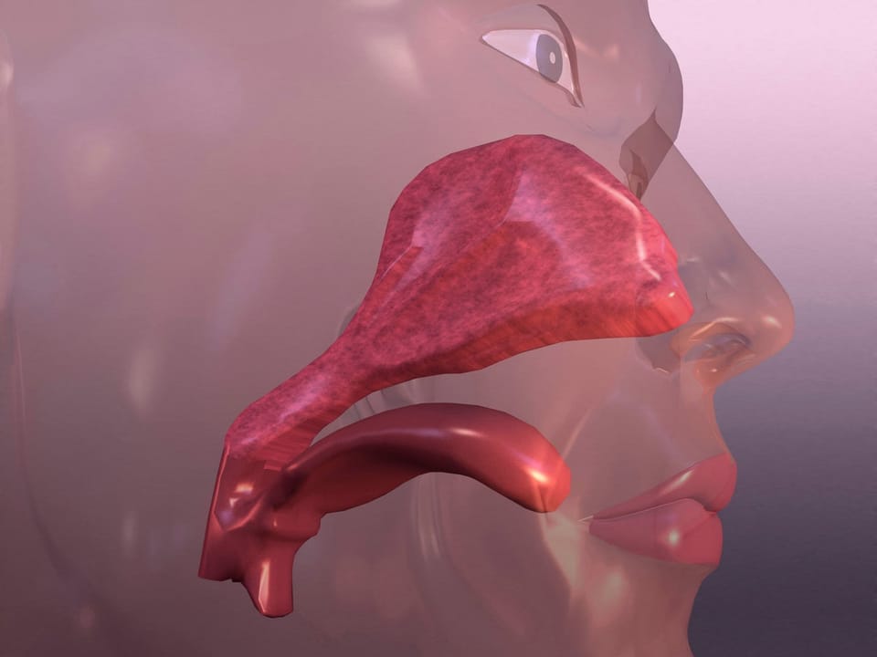 细嚼慢咽与顺畅呼吸:解锁味觉深度体验的科学机制