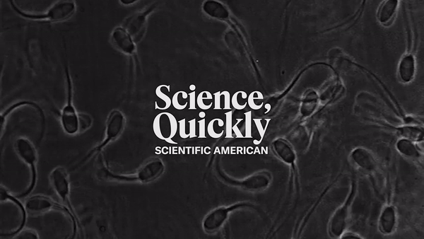 粘稠环境是精子“筛选器”:揭示精子游动效率新机制