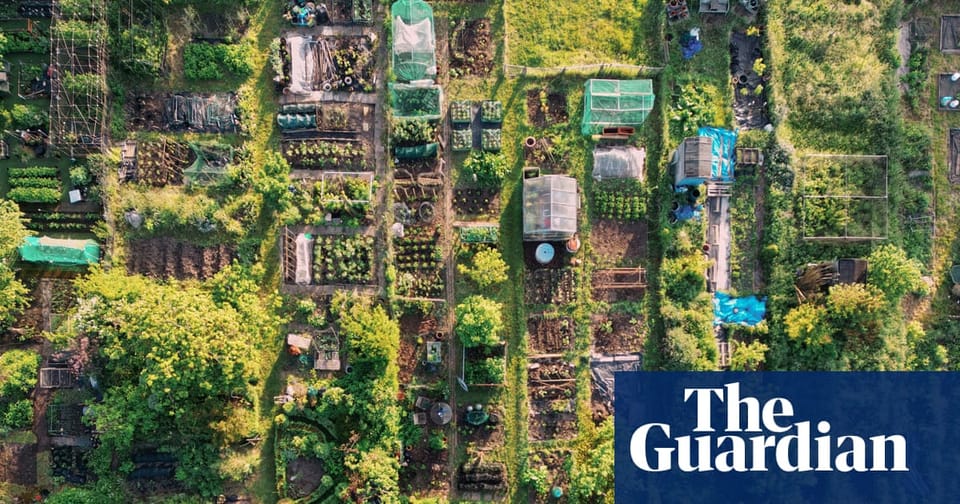 英国全境分配不均:东北部 allotment 资源充裕,伦敦垫底