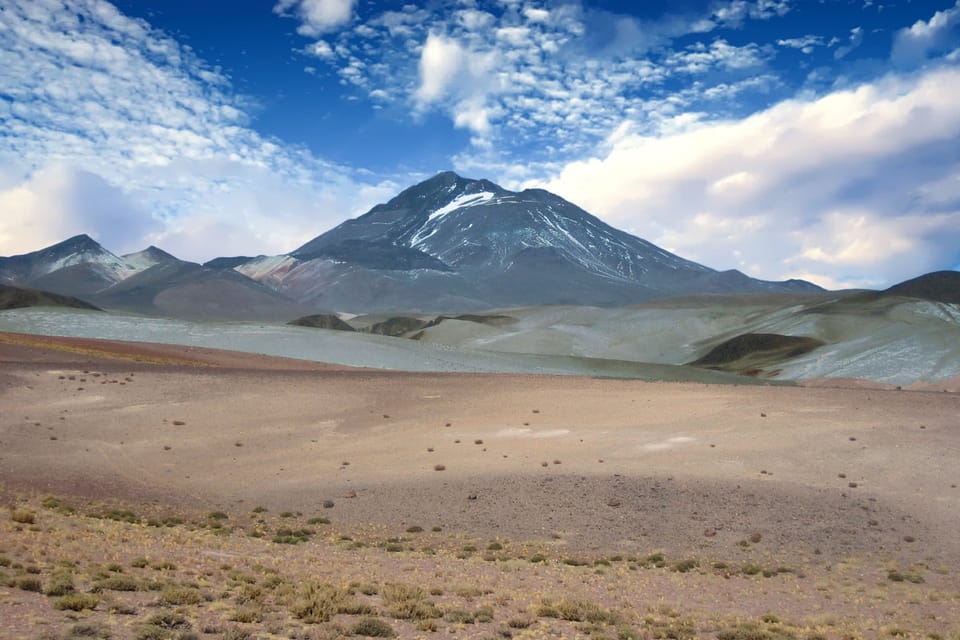 高海拔哺乳动物记录刷新:南美火山发现世界最高海拔哺乳动物