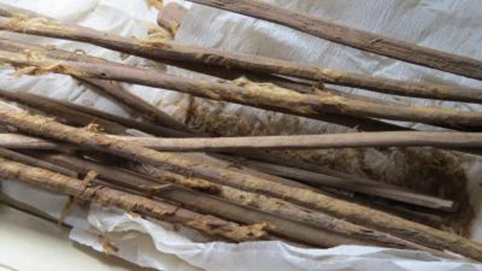 古丝绸之路:首次证实承载疾病传播的贸易动脉