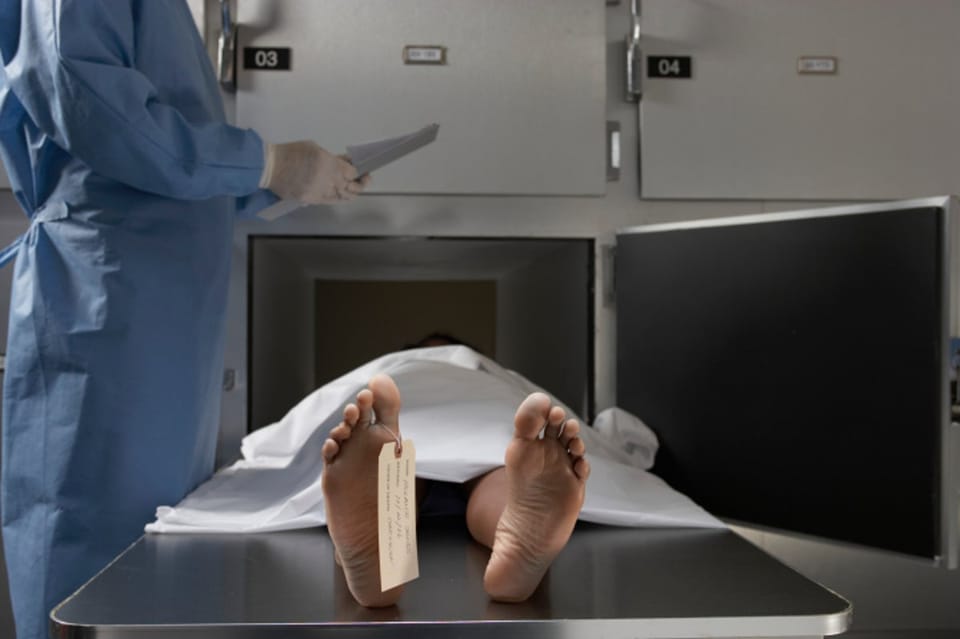 法医昆虫学革新:飞蝇卵化学指纹加速死亡时间推断