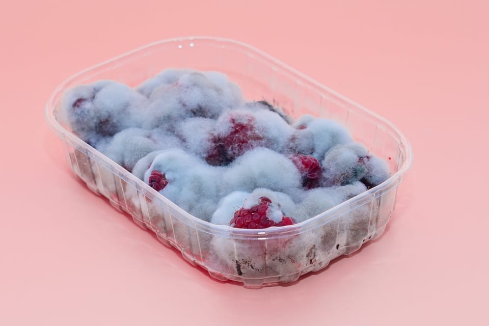 AI驱动的在线评论分析，加速食品安全召回进程
