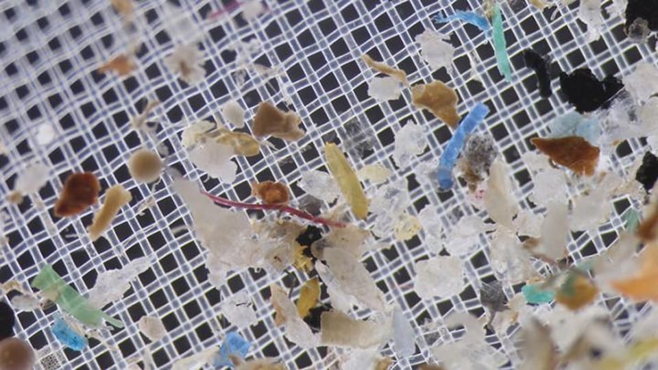 人类每年摄入高达12万微塑料颗粒，健康风险尚待评估