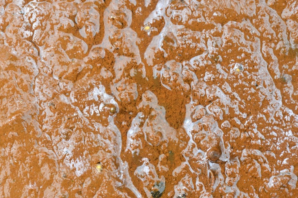 细菌发酵与加热:古代岩画颜料的生物科技洞察