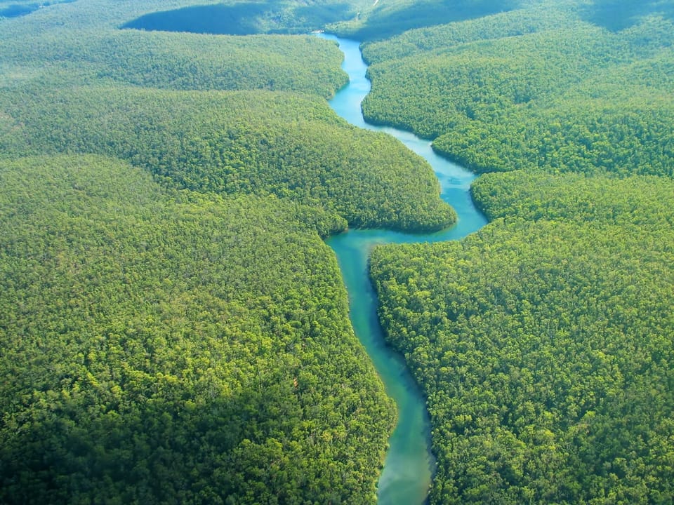 地球生物量：植物占据主导地位，人类生物量微乎其微