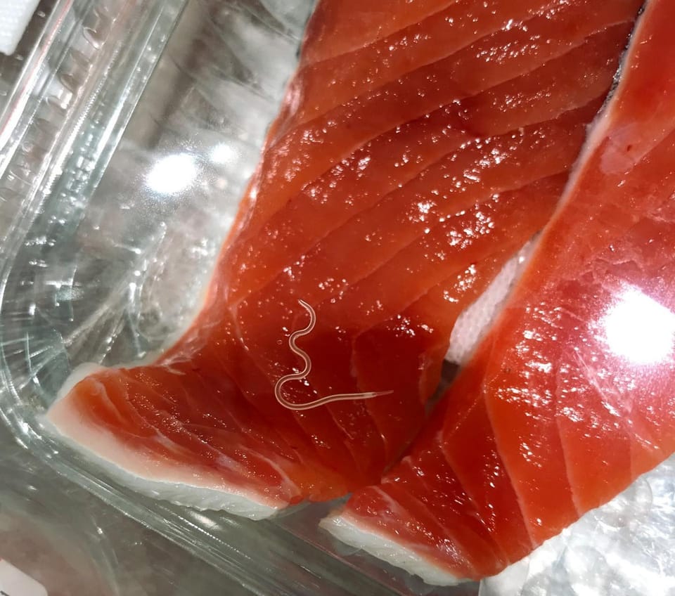 海洋寄生虫Anisakids激增283倍，对海洋哺乳动物构成更大威胁