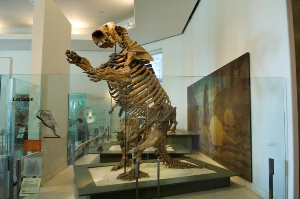 全球科学速递:古人类与巨型地懒的互动证据,巨型T-Rex纪录刷新