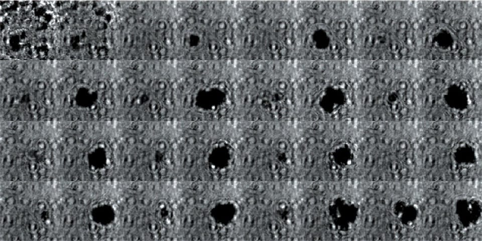 合成生物学突破：气泡囊泡技术赋能细胞靶向治疗