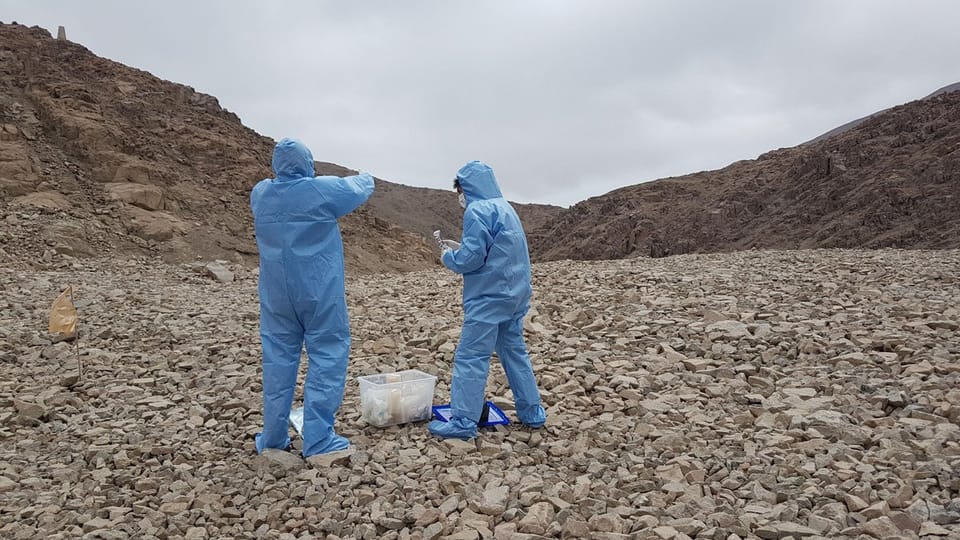 火星风暴或成地球微生物跨行星传播载体