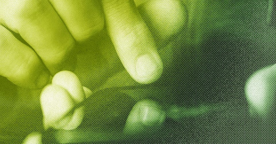记者坦陈屏幕使用时间:数字生活新常态下的平衡之道