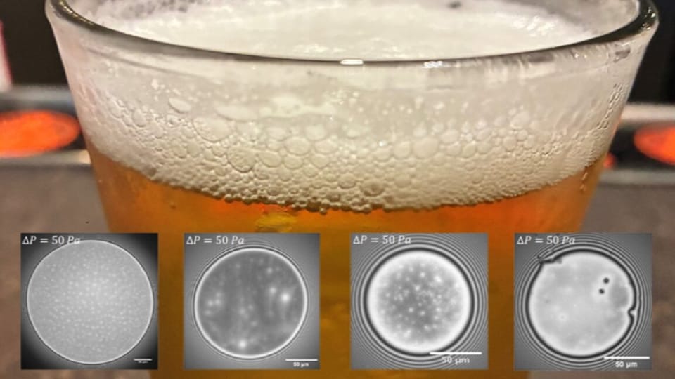 啤酒泡沫持久性揭秘:发酵程度是关键,瑞士研究解析泡沫稳定性